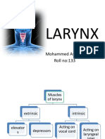Larynx 18.07