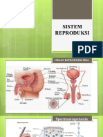 Bab 10. Sistem Reproduksi