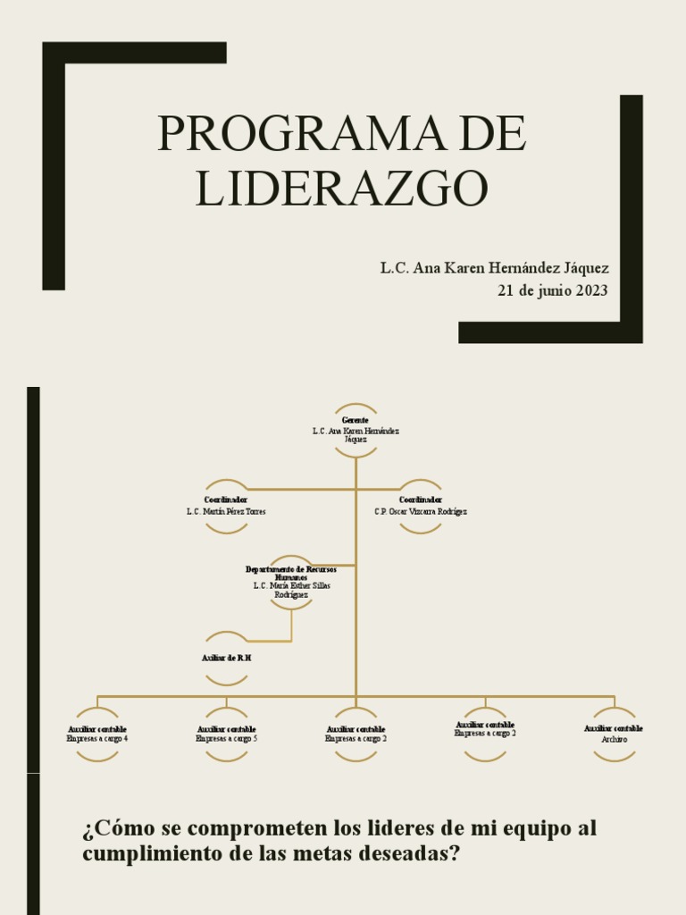 Programa de Liderazgo | PDF | Contabilidad | Business