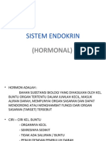 Hormon-Sistem-endokrin-1