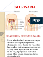 SISTEM - URINARIA PP