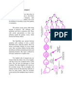 Developmental Biology - Oogenesis (Reviewer)