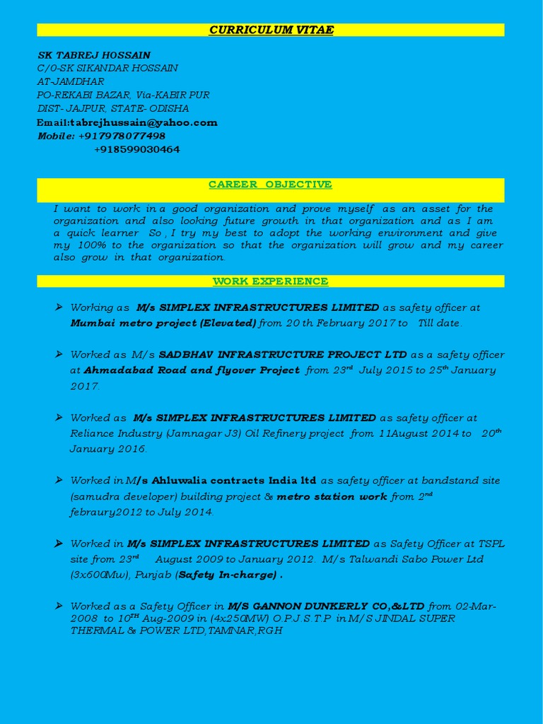 curriculum-vitae-career-objective-pdf-personal-protective