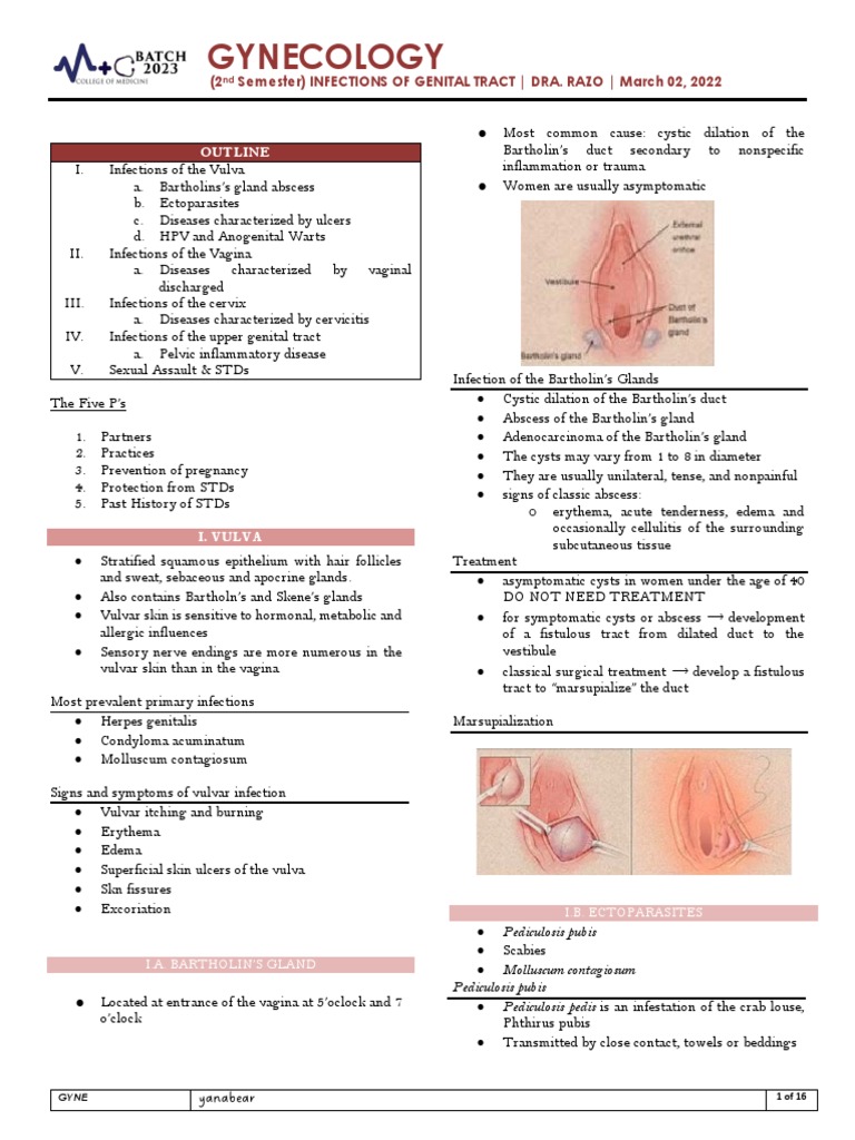Genital Tract Infections Guide | PDF | Herpes Simplex | Male Genital ...