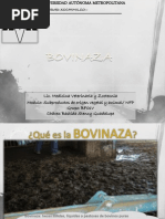 Download Bovinaza by Stency Guadalupe Bda SN65974267 doc pdf