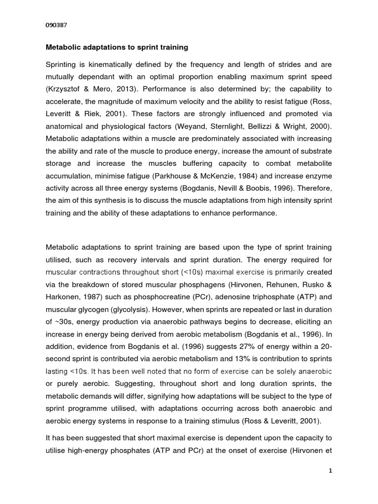 Synthesis Metabolic Adaptations Sprint Training | PDF | Skeletal Muscle ...
