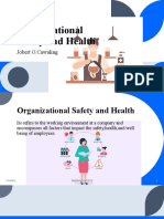 Organizational Safety and Health