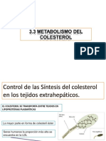 3.3 Metabolismo Colesterol - Tejidos Extrahepaticos