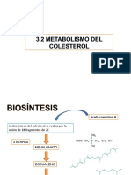 3.2 Metabolismo Del Colesterol