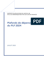 PLF2024-Rapport48 Juillet 2023