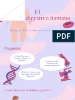 Biología Cuerpo Humano Células Orgánico 