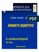 Aparato Digestivo Aparato Digestivo: Universidad Del Zulia