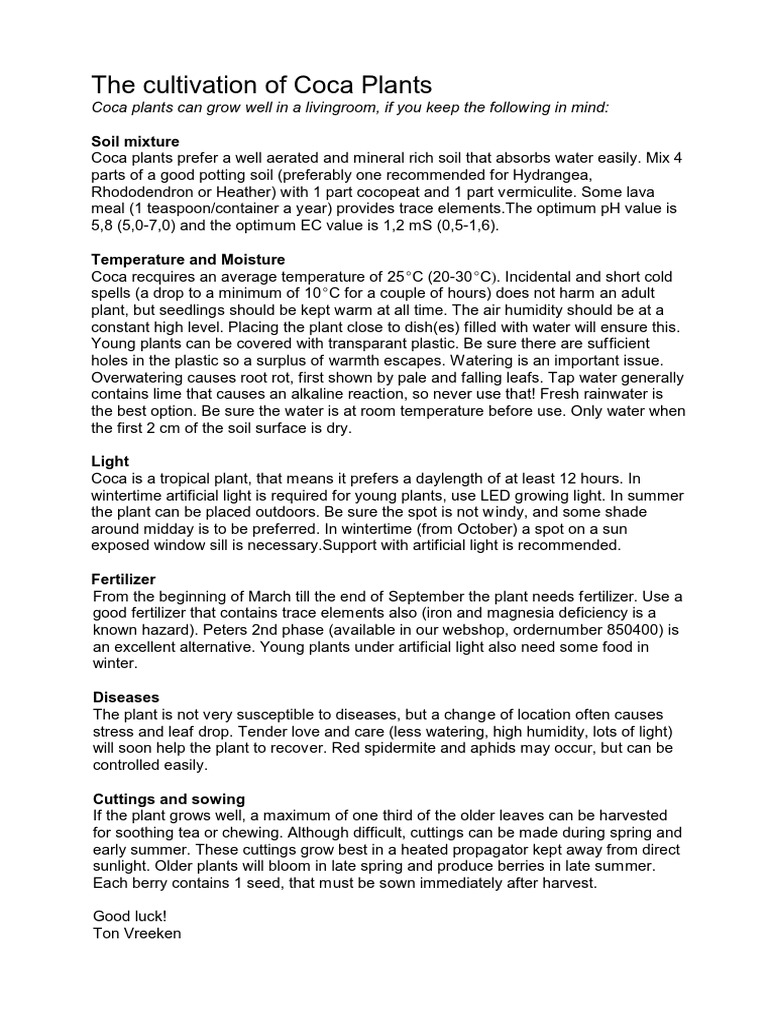 Coca Plants Cultivation PDF Soil Coca