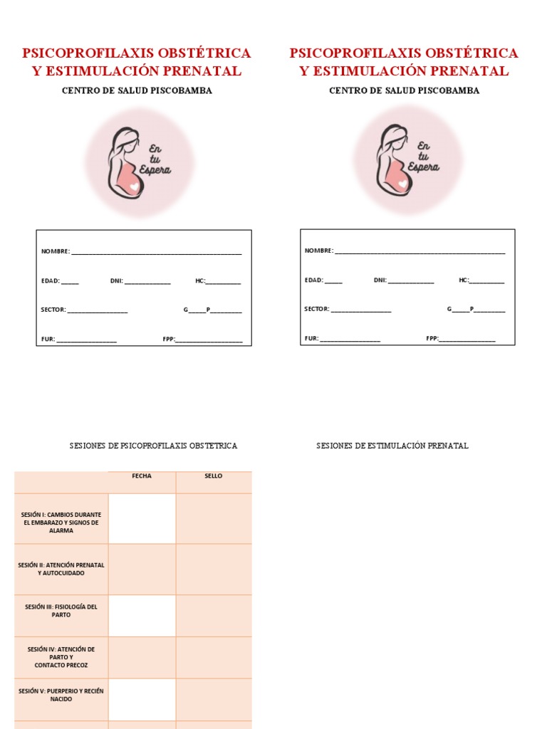 Modelo Carnet Ppo | PDF