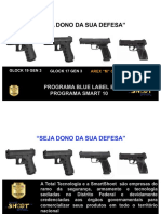 Joi - Paraná - Armas