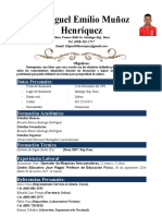 Currículum Vitae Plantilla