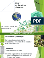Conferencia 15. Bosques y Servicios Ecosistémicos