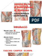 Anatomia Musculos de La Pared Anterolateral Del Abdomen