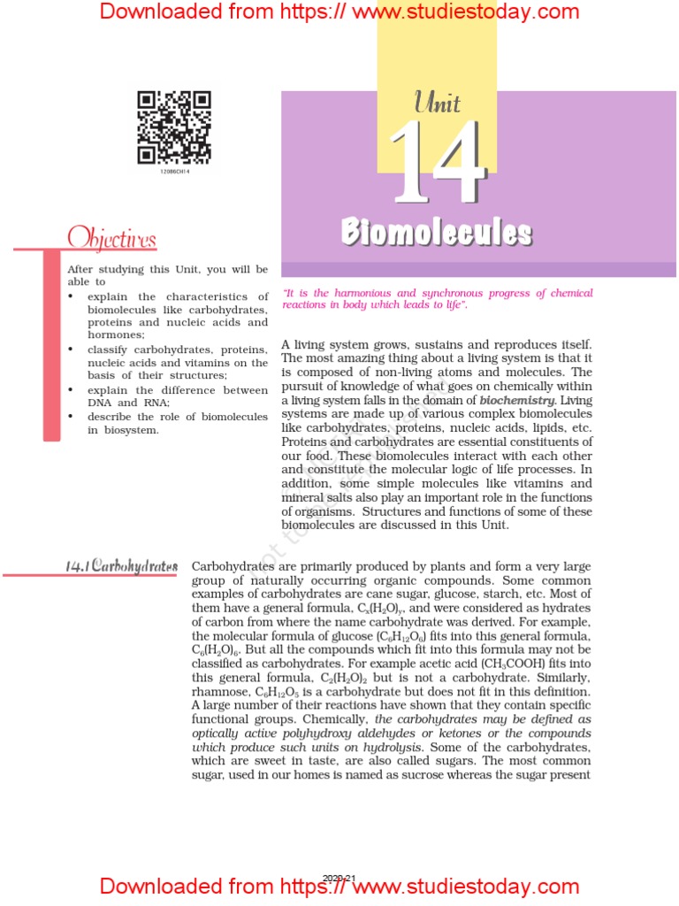 NCERT Class 12 Chemistry Biomolecules | PDF | Carbohydrates | Protein