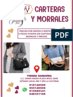 PDF Carteras