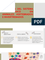 Evolucion Del Sistema Inmunologico en Animales Vertebrados e