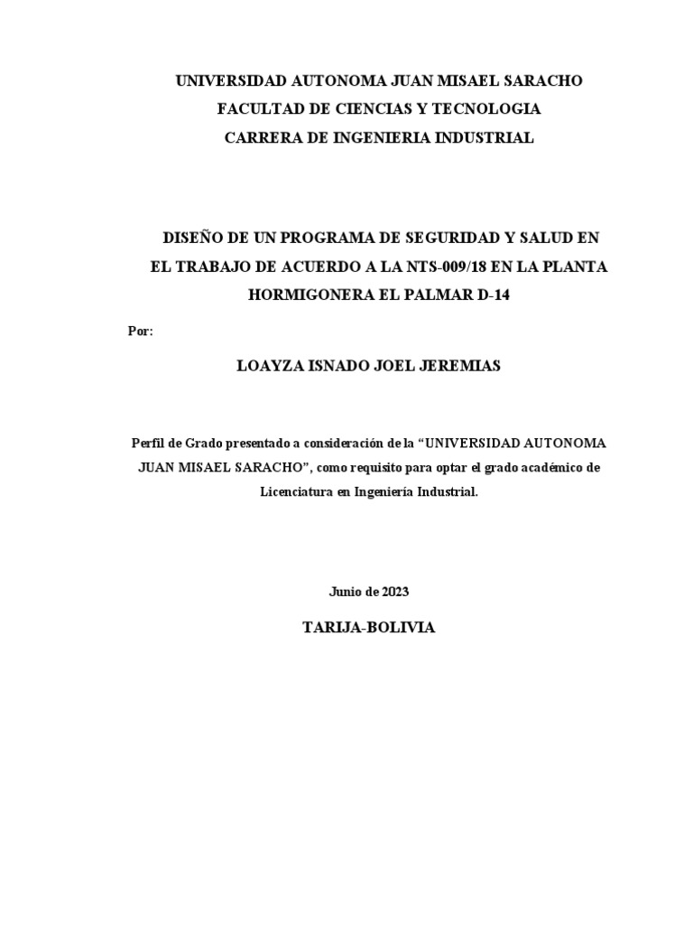 Loayza Isnado Joel Jeremias Perfil Final PDF Seguridad y salud