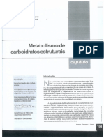 Cap 7 - Metabolismo Dos Carboidratos Estruturais