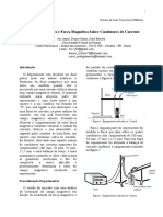 5º Relatório de Física Experimental III (Campo Magnético e Força Magnética Sobre Condutores de Corrente)