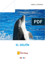 El Delfín: Historia de Un Soñador