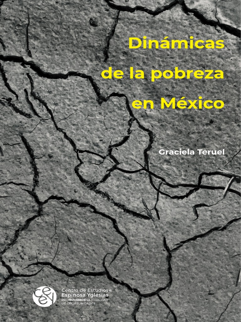 LIBRO Dinámicas de La Pobreza en México | PDF | Pobreza | Pobreza e ...