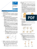 Sistema Nervoso