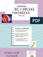 Bolsas y Arcos Faríngeos