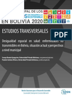 06 Estudio Transversal Desigualdad Espacial en Salud Enfermedades No Transmisibles en Bolivia