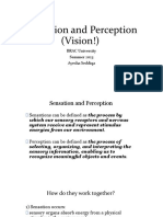 Lecture 4 - Sensation, Perception and Vision