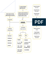 Mapa Conceptual Hongos