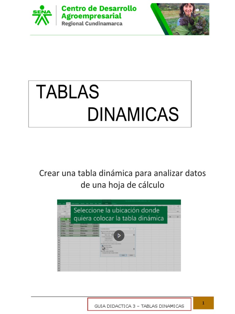 Guia Didactica 3 Tablas Dinamicas PDF Microsoft Excel