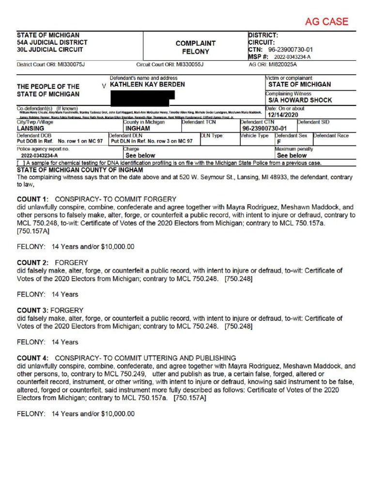 Michigan Election Forgery Case | PDF | Forgery | Criminal Justice