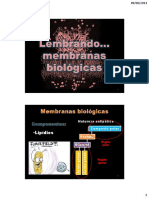 Aula 04 - Especializacoes de Membrana