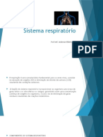 Sistema Respiratório