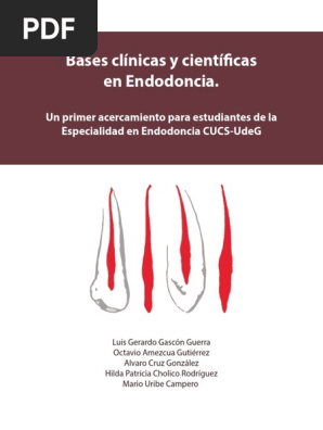 Fundamentos de Endodoncia para Estudiantes | PDF | Dentina