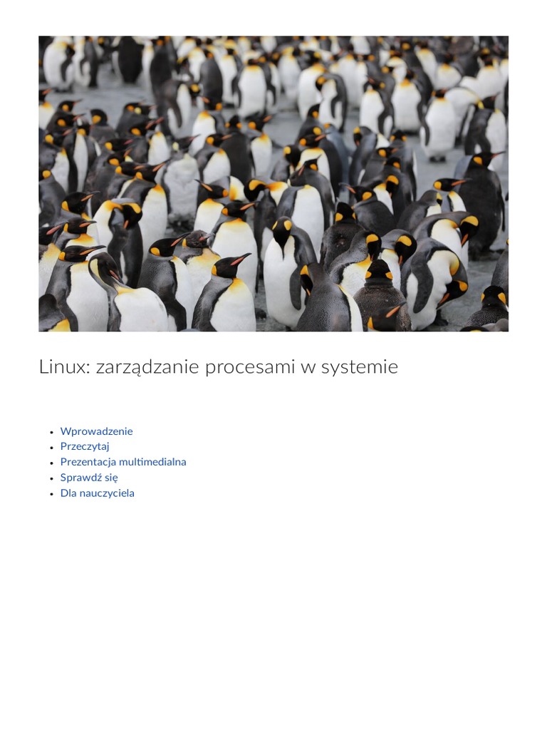 Linux Zarzadzanie Procesami W Sy | PDF