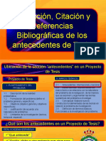 Redacción, Citación y Referencias Bibliográficas de Los Antecedentes de Tesis