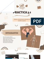 Practica 3.1: Huesos, Articulaciones y Músculos Del Miembro Superior