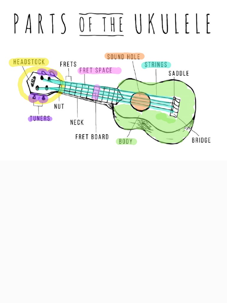 Parts of The Ukulele PDF