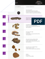 PPPVD Fecal Scoring Chart UPDATE EN FINAL