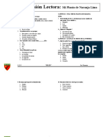 Actividad Mi Planta de Naranja Lima