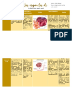 Tabla de Los Organelos C Animal y Vegetal