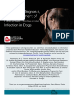 2020 AHS Canine Heartworm Guidelines Highlights