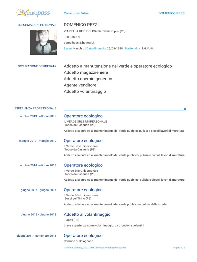 CV Domenico Pezzi | PDF