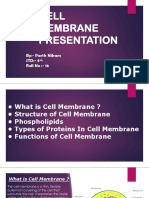 Cell Membrane Presentation